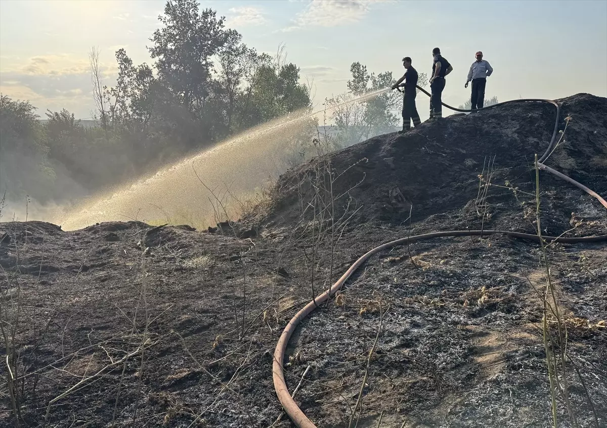 Edirne'de Tunca Nehri Kenarında Yangın Çıktı