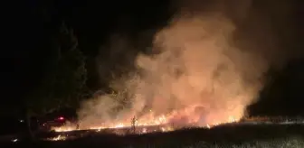 Edirne'de Tunca Nehri Kenarında Yangın Çıktı