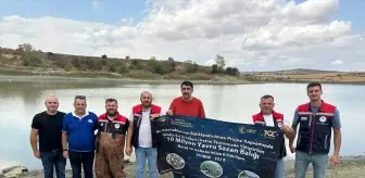 Edirne'den Tekirdağ'a 975 Bin Pullu Sazan Yavrusu Salındı