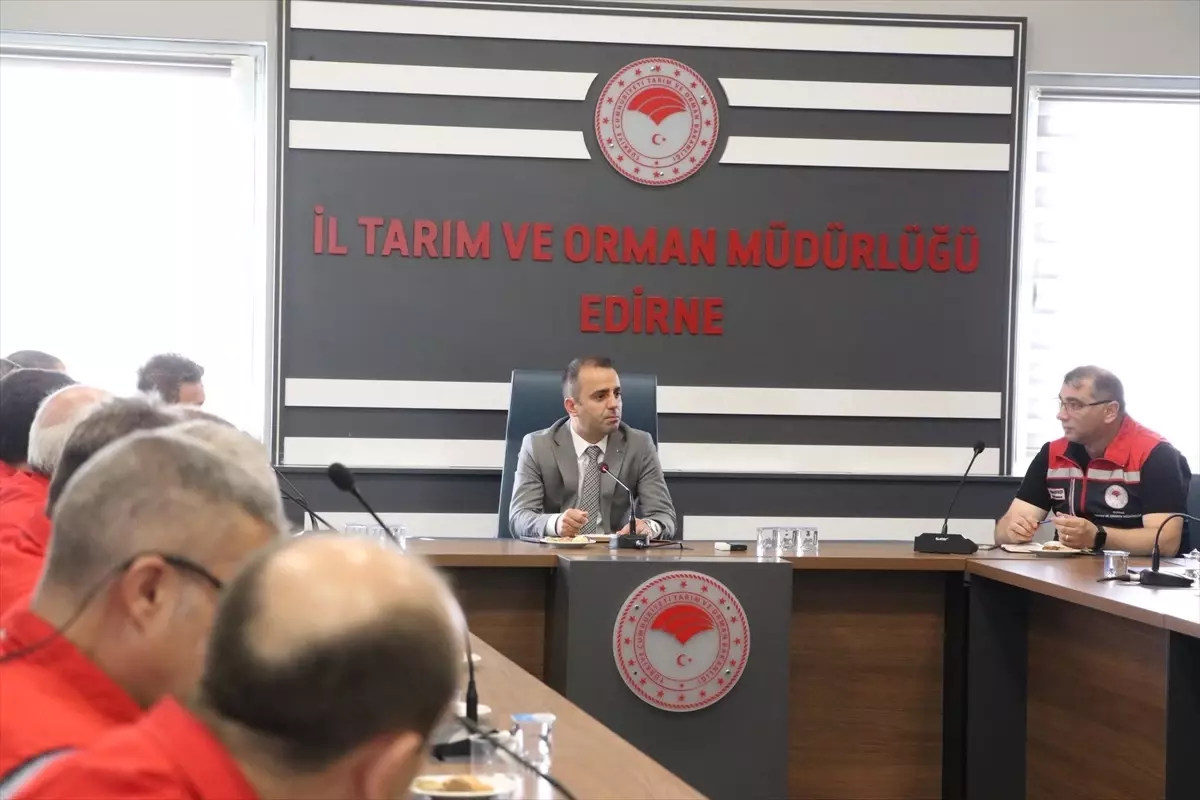 Gözde Kabasakal'ın 'Sonra Görüşürüz' Romanı Yayımlandı