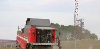 Edirne'de Çeltik Hasadı ve Trafik Eğitimi