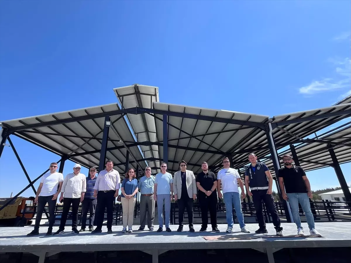 Edirne'de Modern Hayvan Pazarı Tamamlandı
