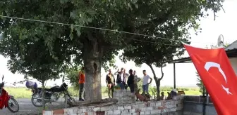 Edirne Tarım ve Orman Müdürü İncelemelerde Bulundu