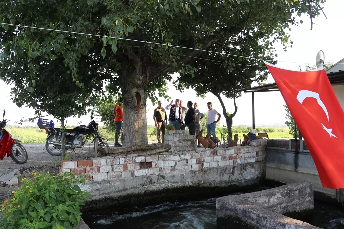 Edirne Tarım ve Orman Müdürü İncelemelerde Bulundu