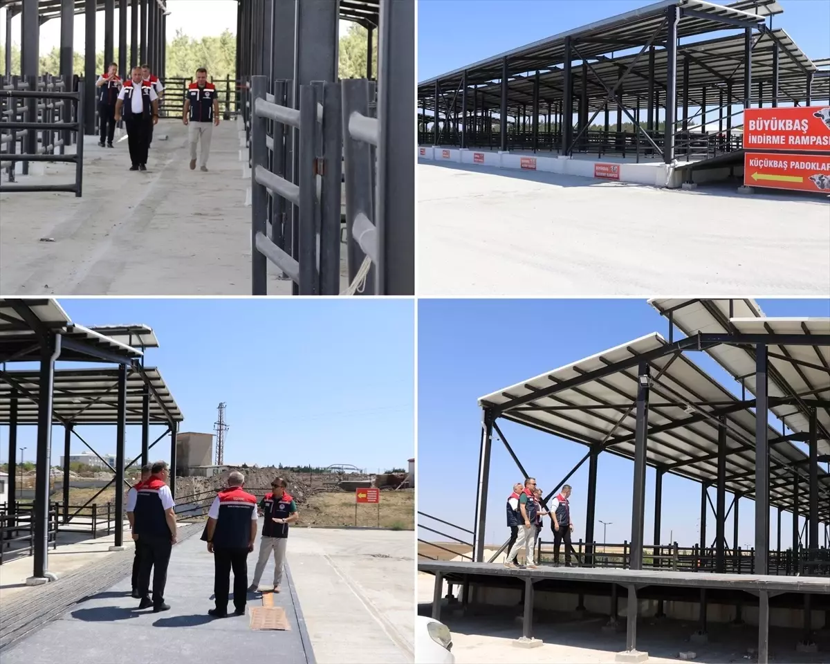 Edirne Tarım ve Orman Müdürü Havsa Canlı Hayvan Pazarı'nda İncelemelerde Bulundu