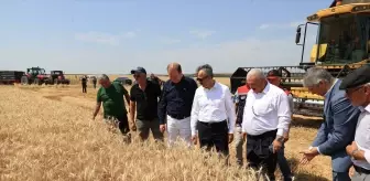Edirne Valisi Sezer, Buğday Hasadına Destek Verdi