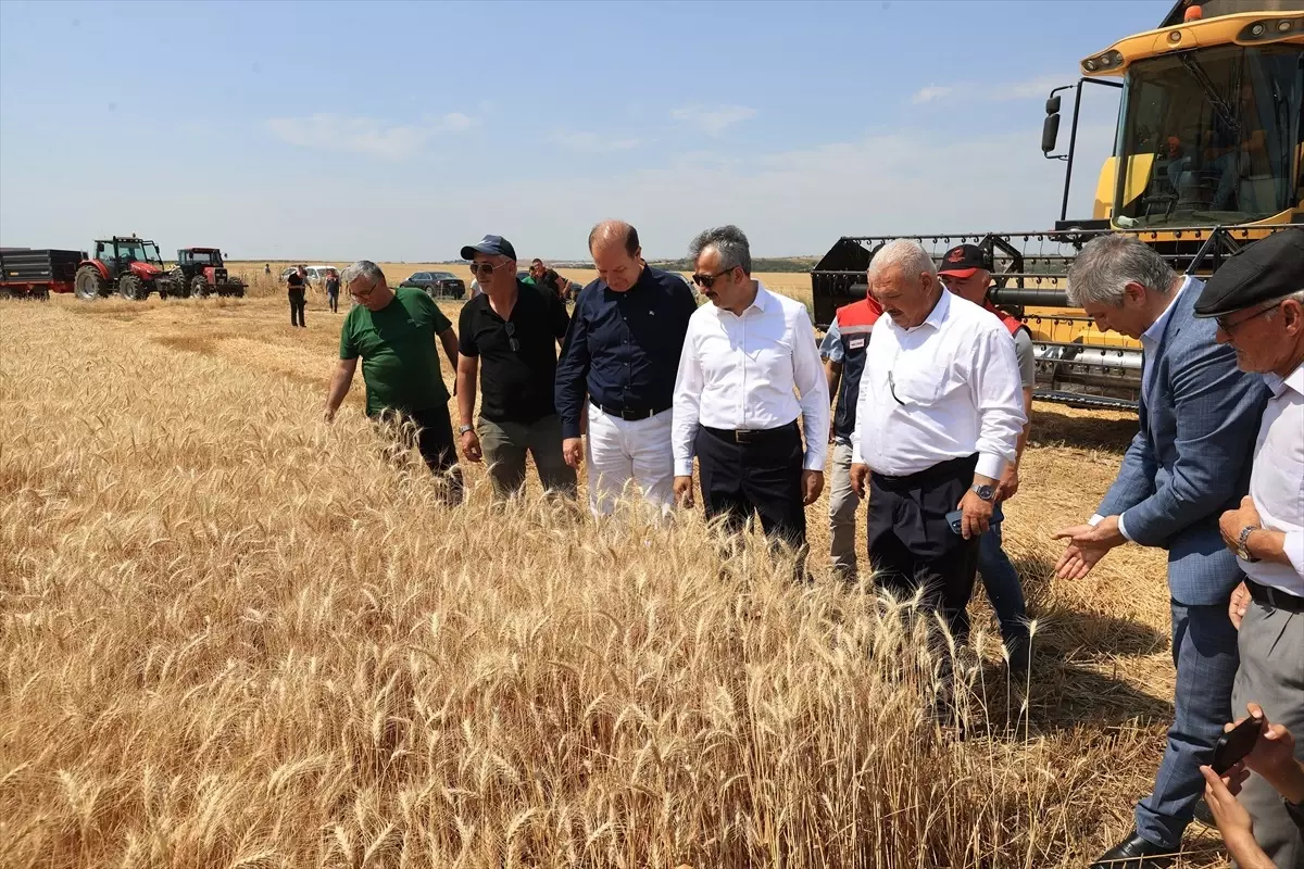 Edirne Valisi Sezer, Buğday Hasadına Destek Verdi