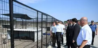 Edirne Valisi Yunus Sezer, Sahipsiz Hayvanlar İçin Doğal Yaşam Merkezini İnceledi