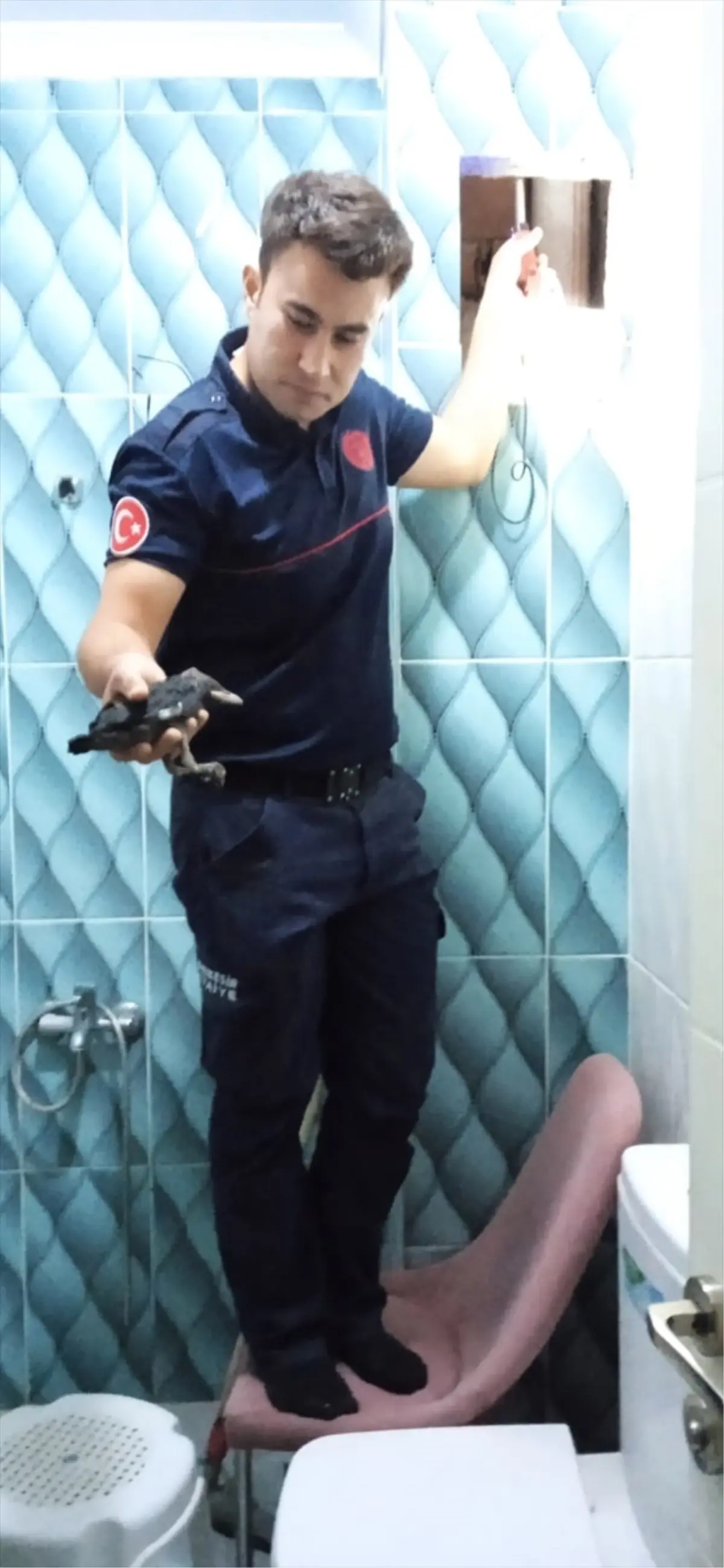 Havalandırma Boşluğuna Düşen Karga Yavruları İtfaiye Ekiplerince Kurtarıldı