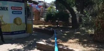Aydın'da Aydınlatma Direği Devrildi: 2 Yaralı
