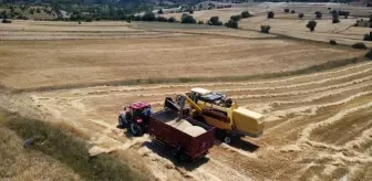 Karabük'te Hububat Hasadı Başladı