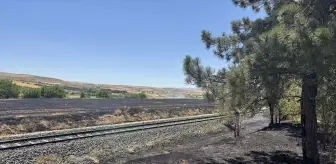 Elazığ'da Anız Yangını Ağaçlık Alana Sıçradı