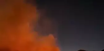 Elazığ Maden'de Çıkan Örtü Yangını Söndürüldü