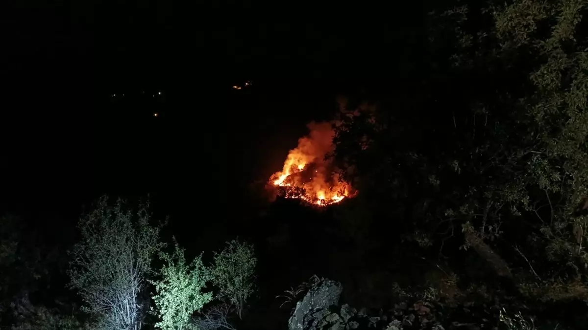 Elazığ’da Kırsal Alanda Yangın Çıktı