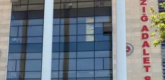 Elazığ'da Hırsızlık Şüphelileri Yakalandı: Bir Tutuklama