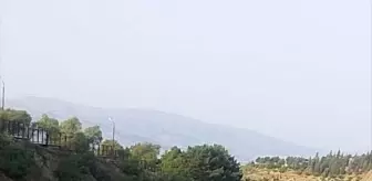 Elazığ'da Otomobil Çarpışması: 1'i Ağır, 6 Yaralı