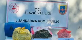 Elazığ'da Uyuşturucu Operasyonu: 511 Kök Hint Keneviri Ele Geçirildi