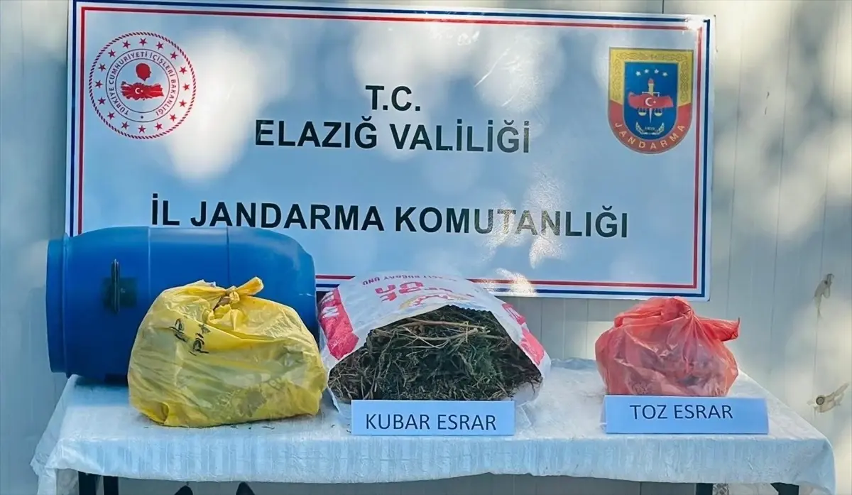 Elazığ'da Uyuşturucu Operasyonu: 511 Kök Hint Keneviri Ele Geçirildi