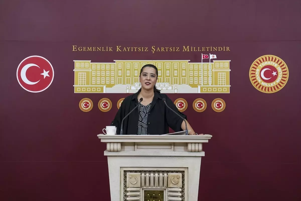 Milletvekili Demir'den Proje Okulları Yönetmeliği'ne Eleştiri