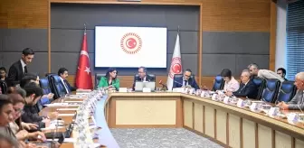Engellilerin Sorunlarını Araştırma Komisyonu, Aile ve Sosyal Hizmetler ile Sağlık Bakanlığı yetkililerini dinledi