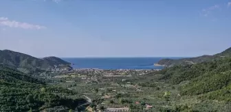 Turanköy: Berrak Deniziyle Yaz Turizminin Gözdesi