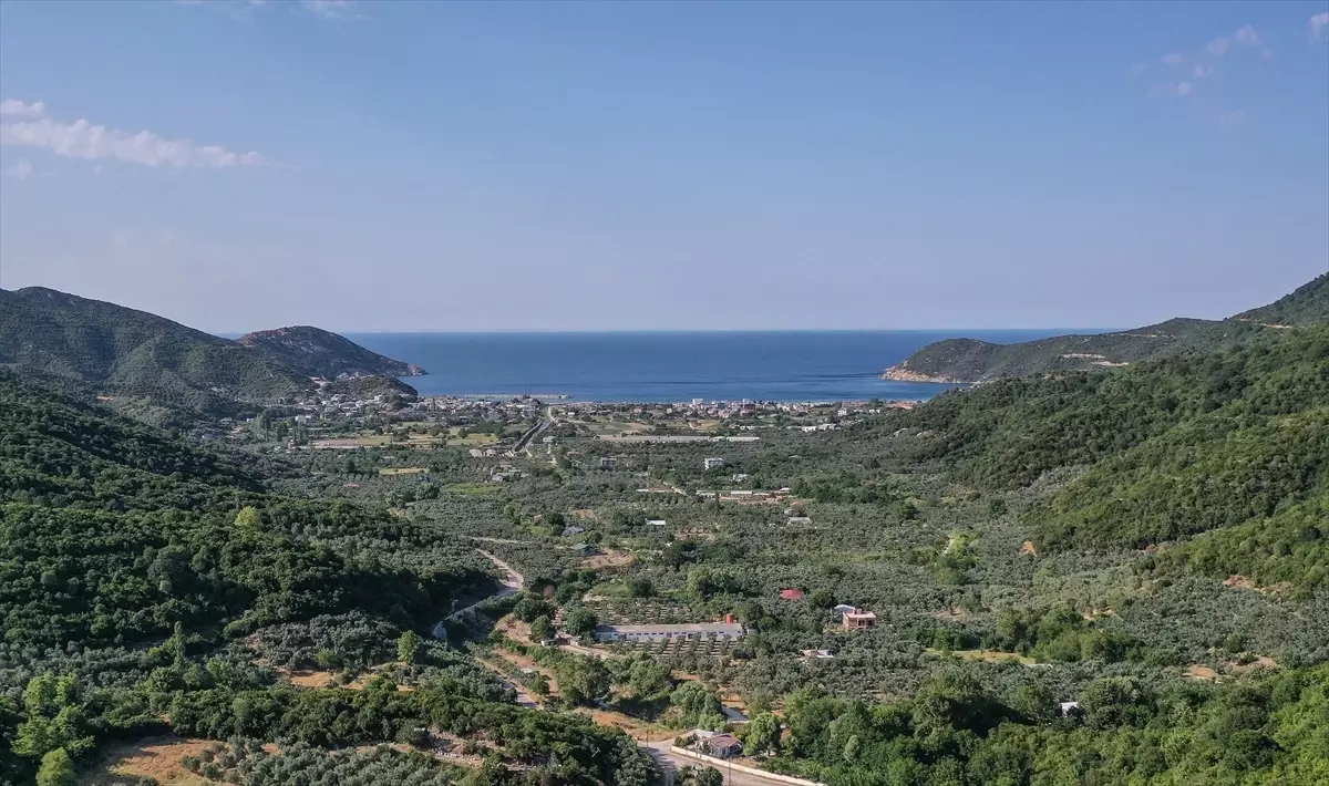 Turanköy: Berrak Deniziyle Yaz Turizminin Gözdesi