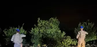 Hatay'da Narenciye Hasat Sezonu İçin Jandarma Tedbirleri Artırdı