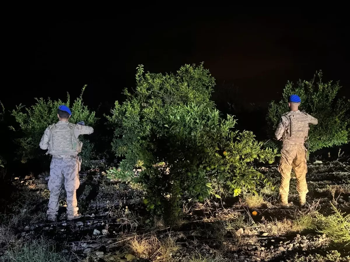Hatay'da Narenciye Hasat Sezonu İçin Jandarma Tedbirleri Artırdı
