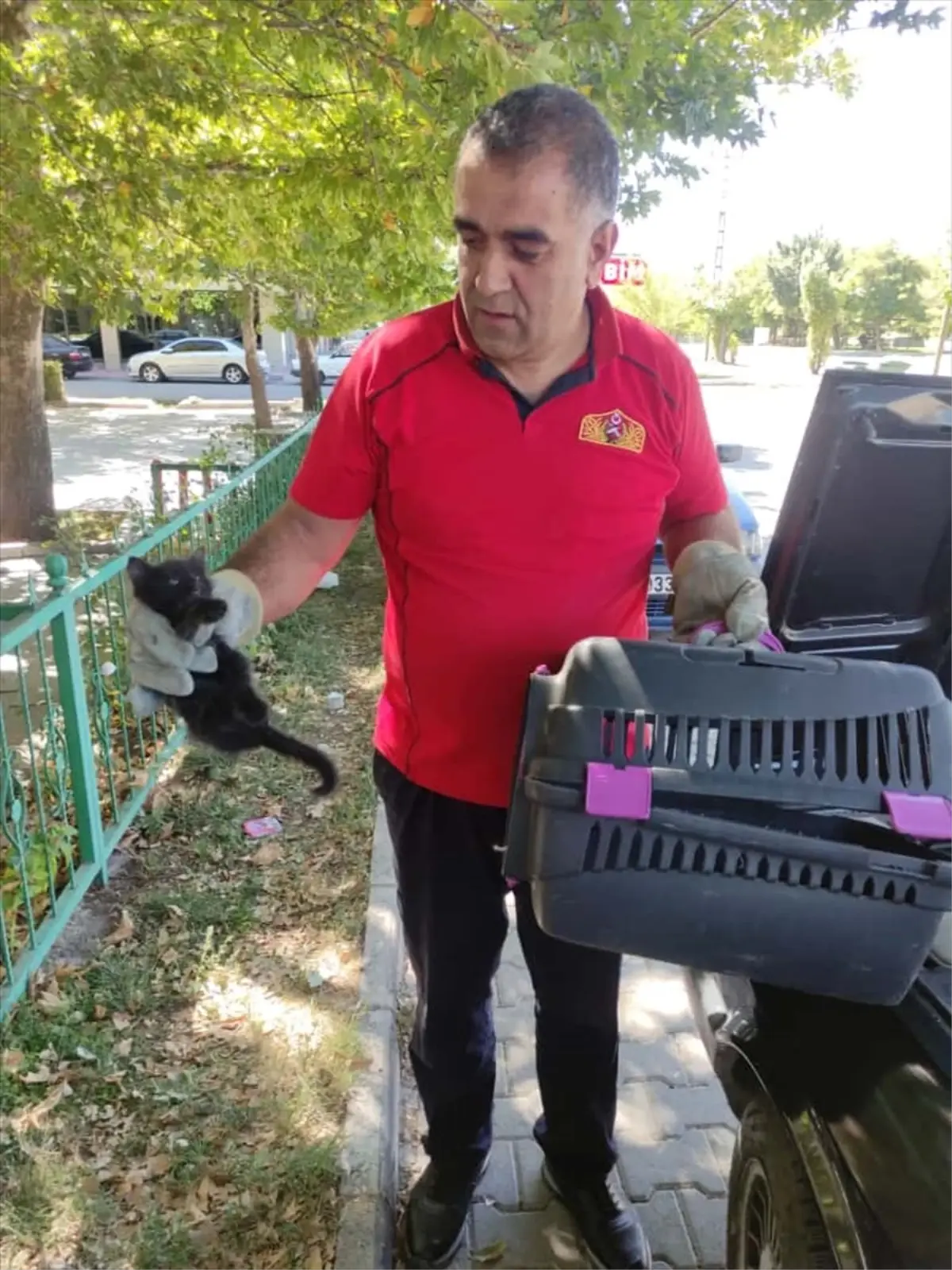Erzincan'da Kedi Yavrusunu İtfaiye Kurtardı
