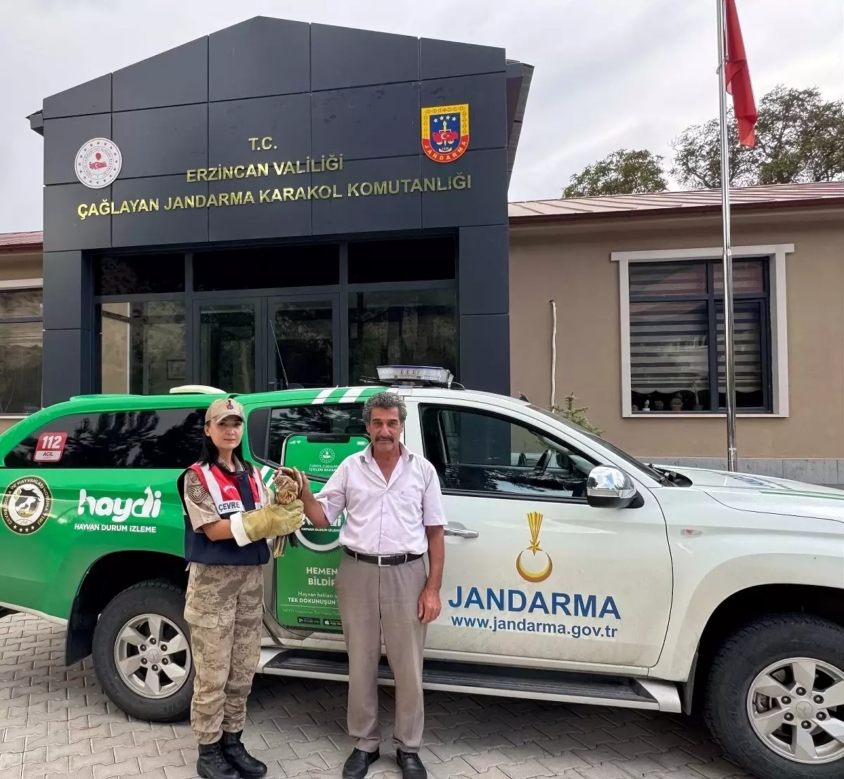Erzincan'da Yavru Şahin Koruma Altına Alındı