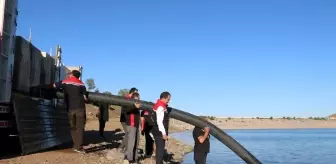 Erzincan'da 200 Bin Sazan Yavrusu Su Kaynaklarına Bırakıldı