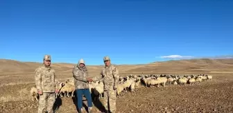 Erzincan'da 300 Koyun İHA Desteğiyle Bulundu