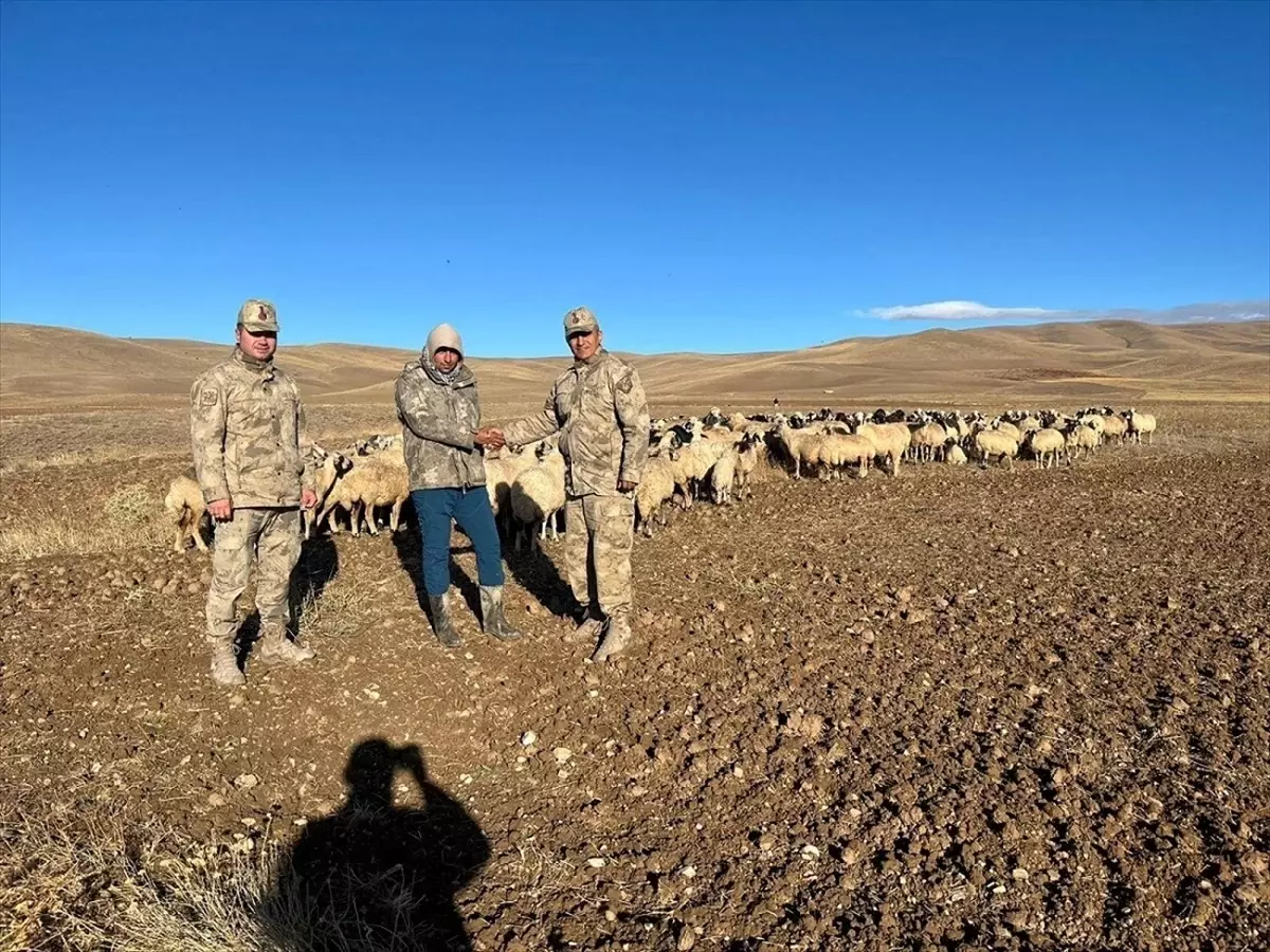 Erzincan'da 300 Koyun İHA Desteğiyle Bulundu