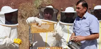 Erzincan Geven Balı Hasadı Yapıldı