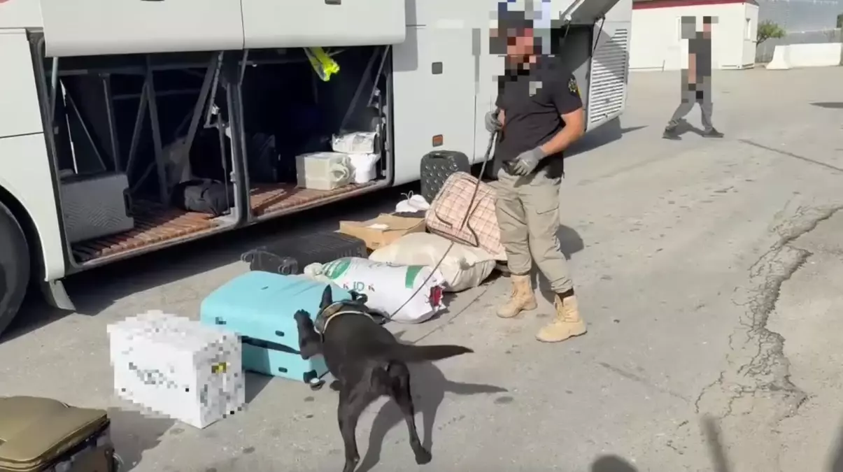 Erzincan Merkezli Uyuşturucu Operasyonunda 20 Kilo Skunk Ele Ge geçirildi