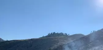 Erzurum'un İspir İlçesinde Çıkan Örtü Yangını Kontrol Altına Alındı