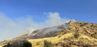 Oltu'da Çıkan Örtü Yangını Kontrol Altına Alındı