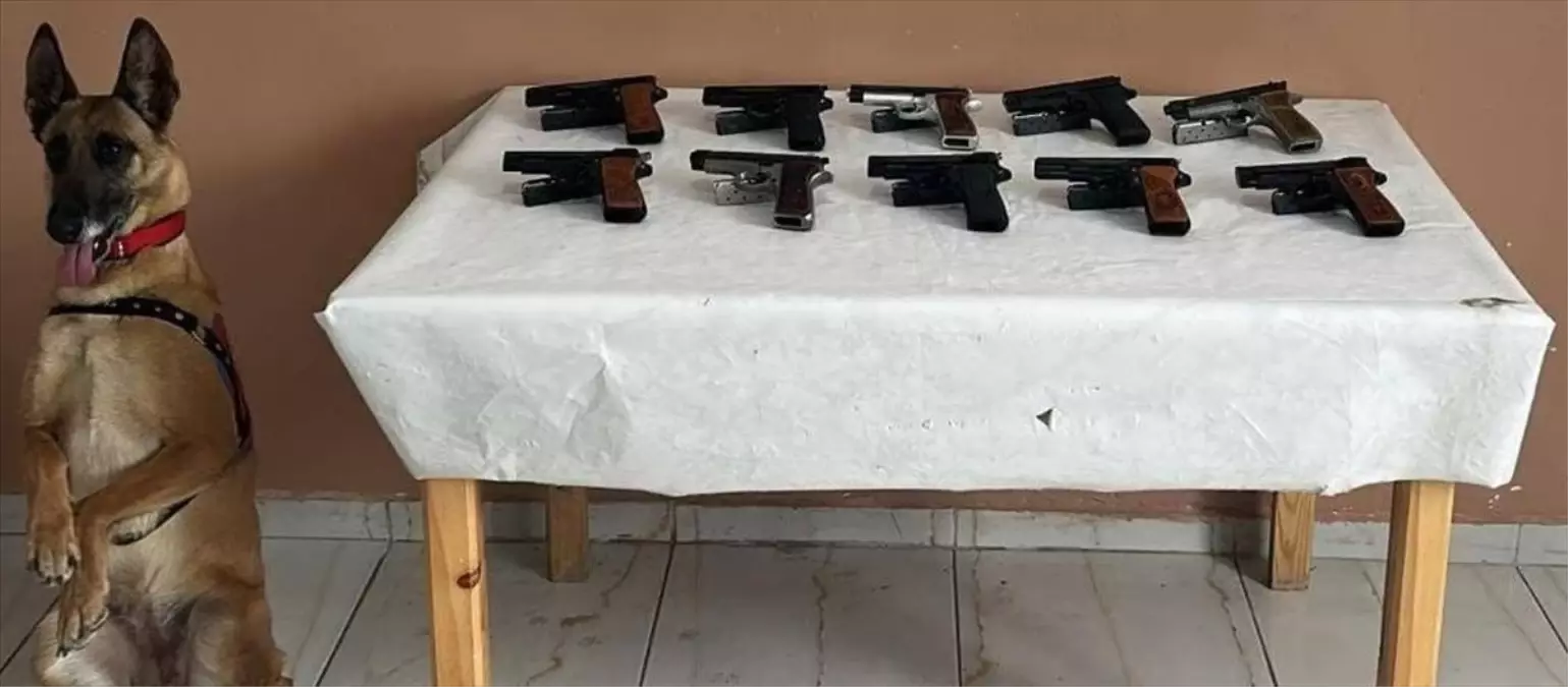 Erzurum'da Bomba Arama Köpeği 'Yazı' İle Kaçakçılara Operasyon