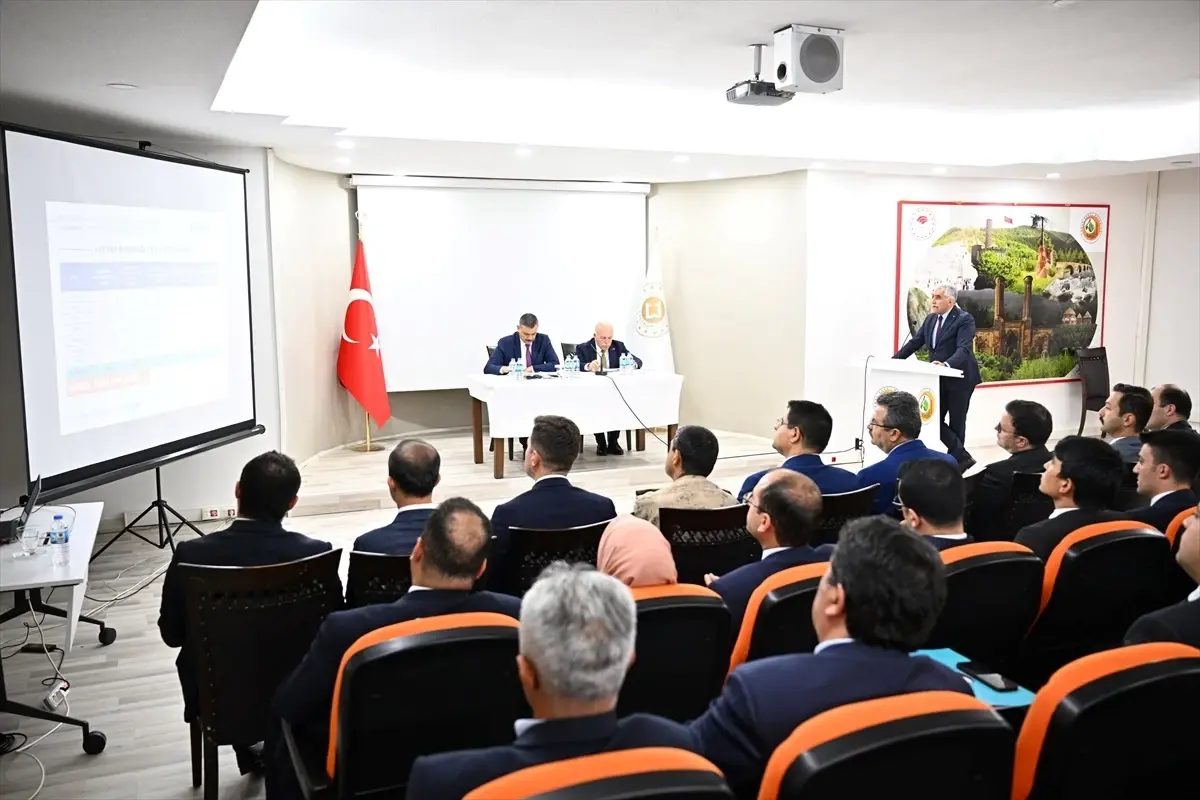 Erzurum'da Çoban Köpeklerine Mikroçip Takılacak, Sahiplendirme Başlatılacak