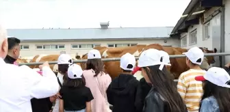 Devlet Korumasındaki Çocuklara Süt Ürünleri Eğitimi