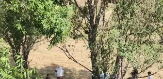 Erzurum'da Otomobil ve Kamyonet Çarpıştı: 6 Yaralı