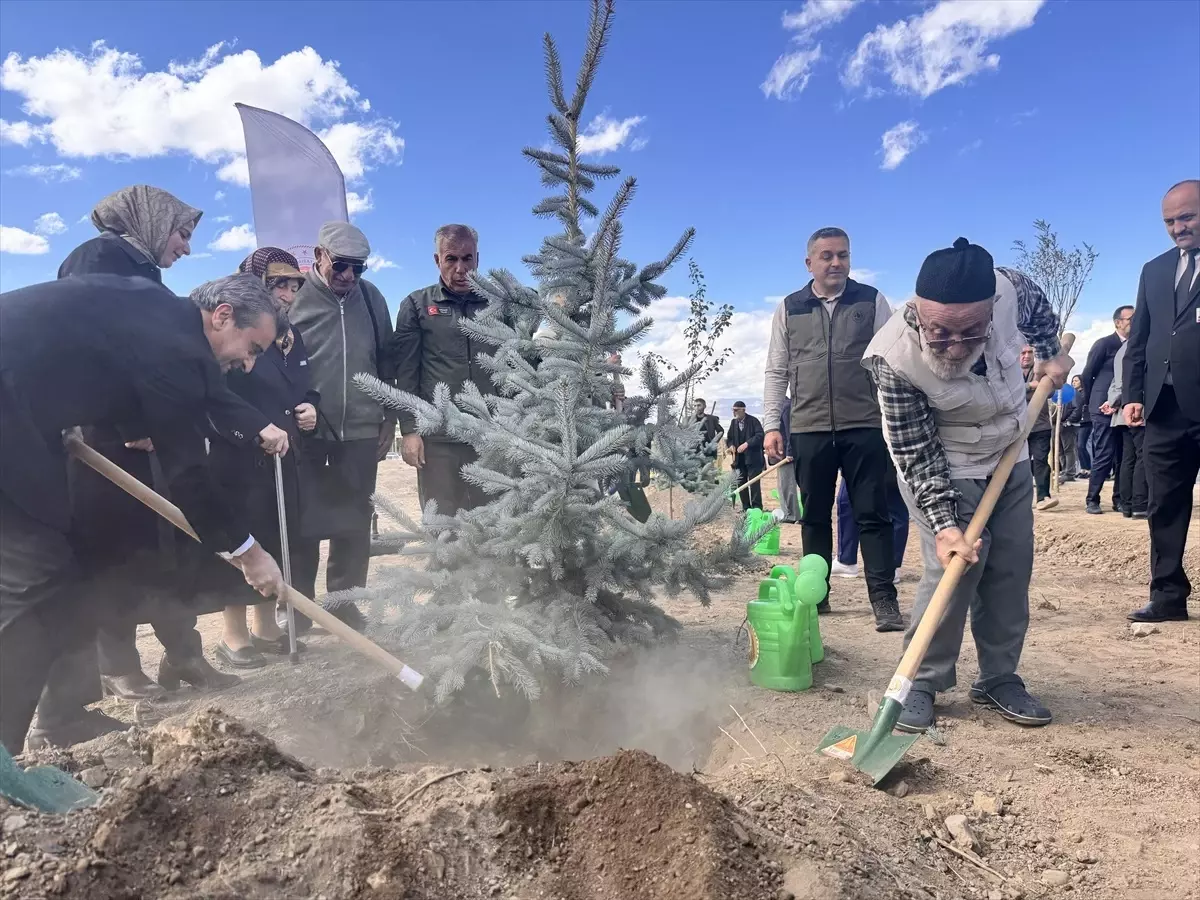 Erzurum'da Dünya Yaşlılar Günü Fidan Dikme Etkinliği
