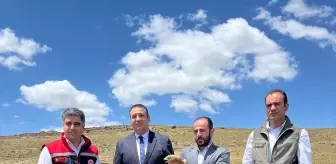 Yaralı Şahin Doğaya Kavuştu