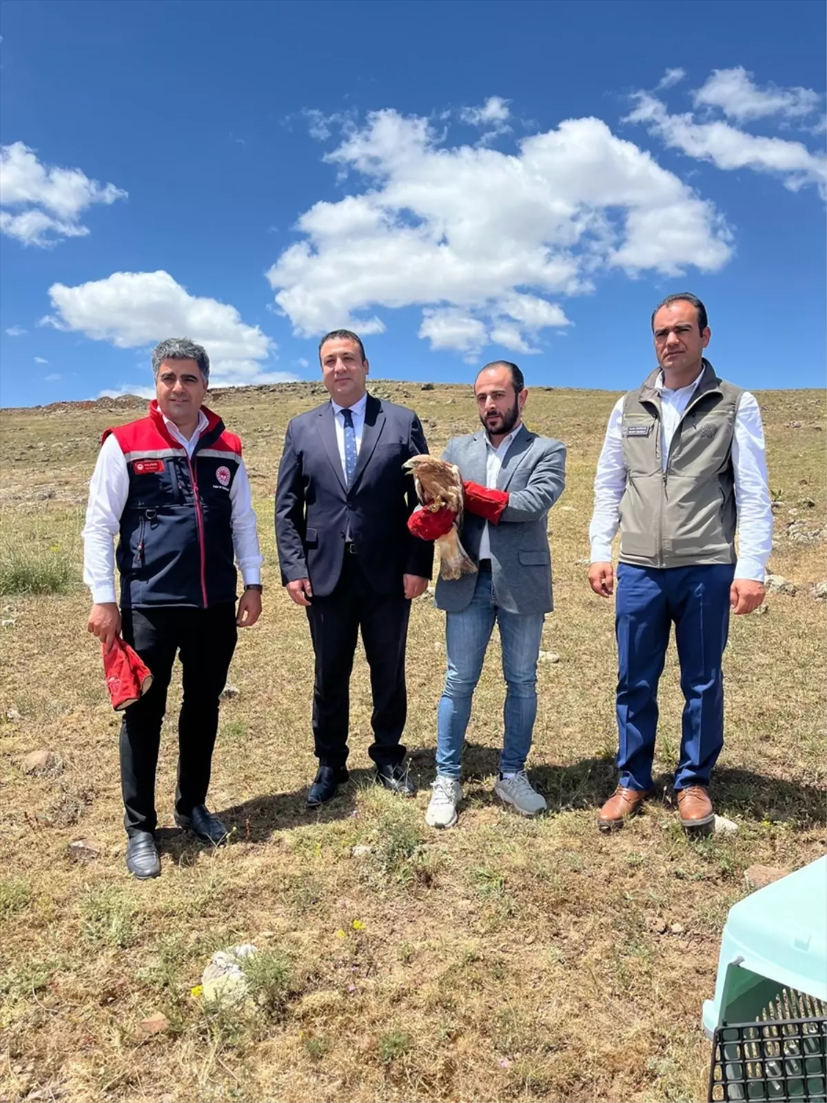 Yaralı Şahin Doğaya Kavuştu