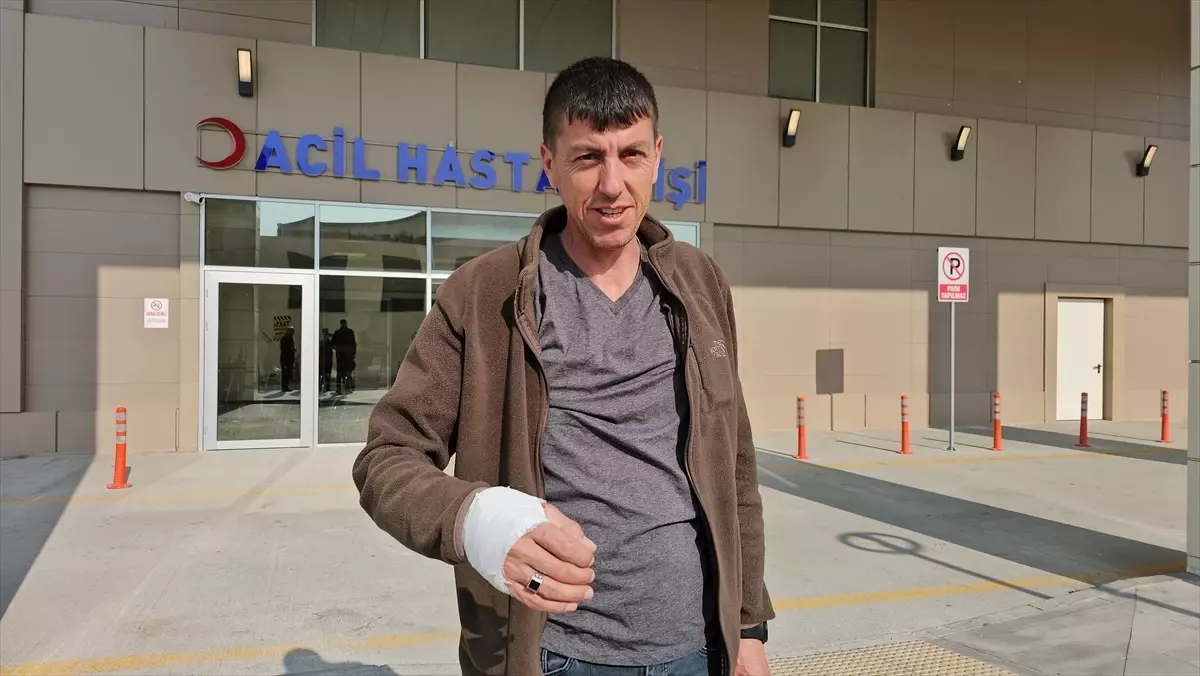 Kurban Bayramı'nda Kesim Kazalarında 133 Yaralı