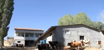 Eski Hükümlü Oğuz Abbas'tan Hayvancılık Başarısı