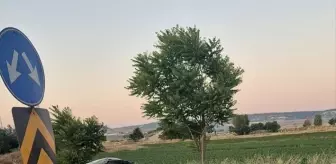 Eskişehir'de Otomobil Bariyerlere Çarptı: Sürücü Yaralandı