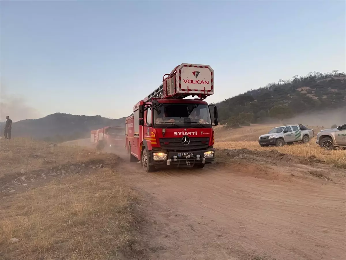 Eskişehir'deki Orman Yangını Afyonkarahisar'a Sıçradı