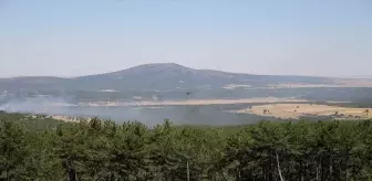 Eskişehir'de Orman Yangını Kontrol Altına Alındı