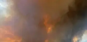 Eskişehir'de Orman Yangınına Müdahale Ediliyor